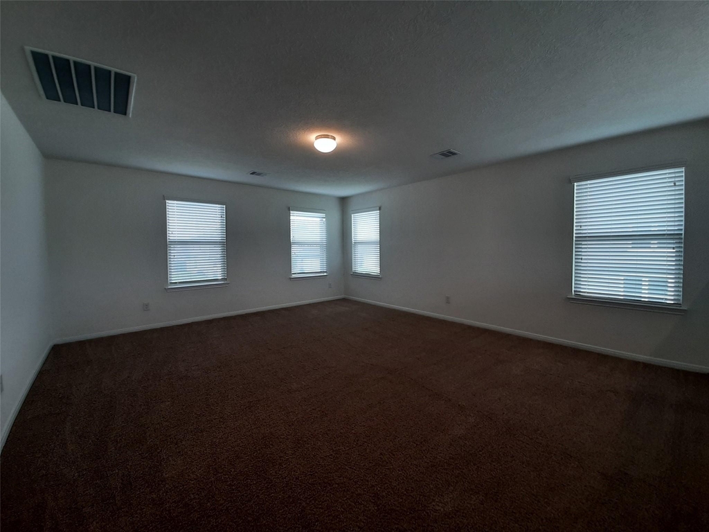 4834 Lucky Fawn Lane - Photo 12