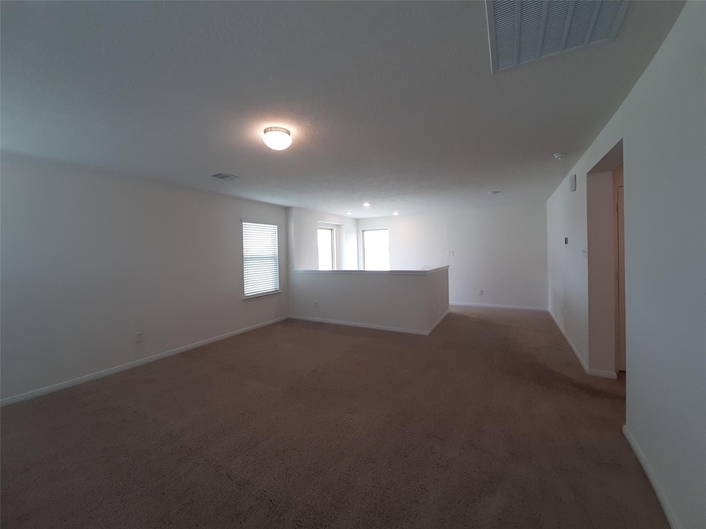 4834 Lucky Fawn Lane - Photo 13
