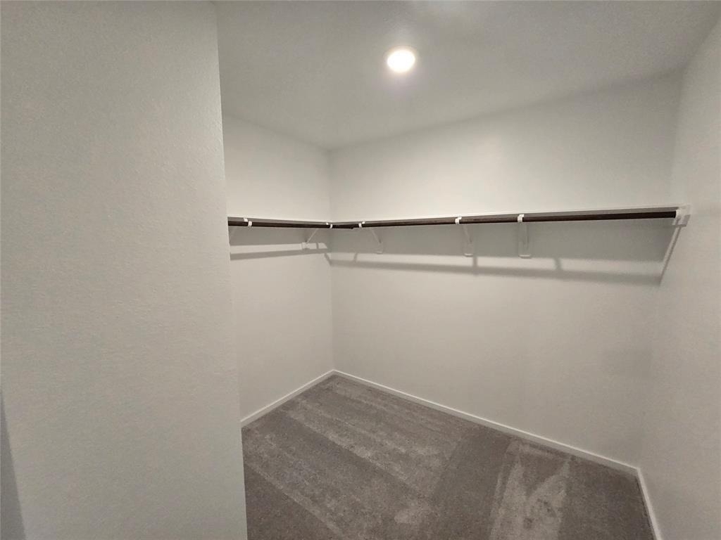 29035 Pearl Barley Way - Photo 13