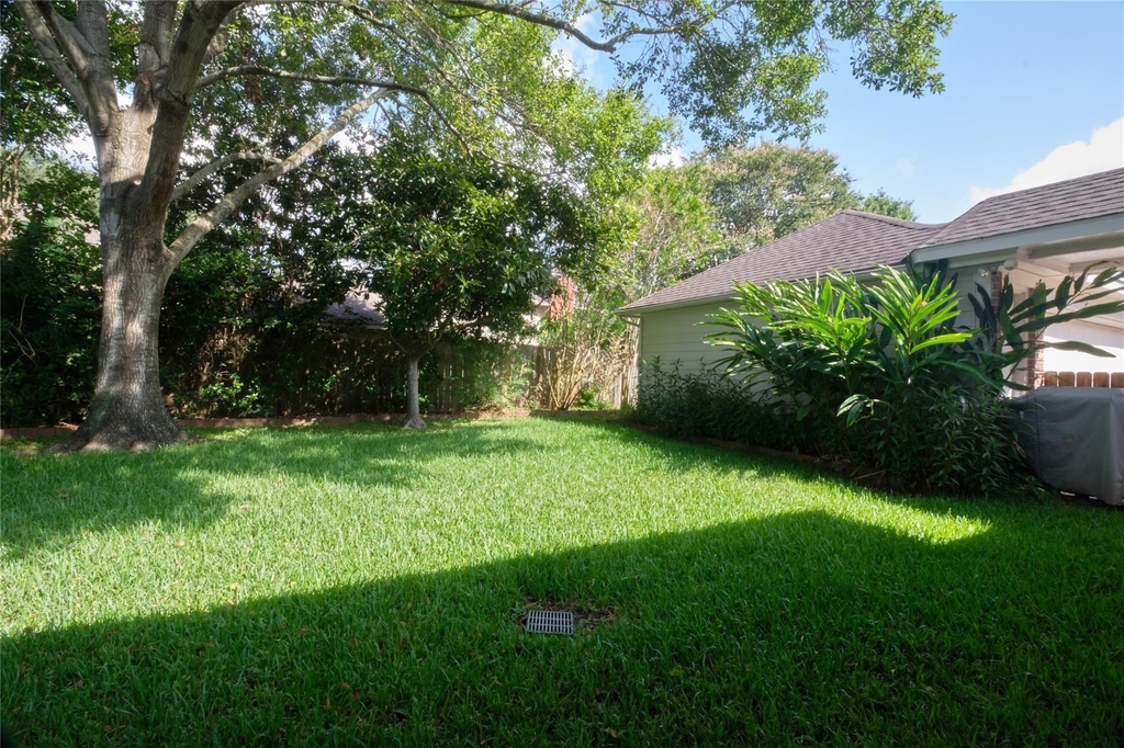 4511 Chestnut Meadow Drive - Photo 3
