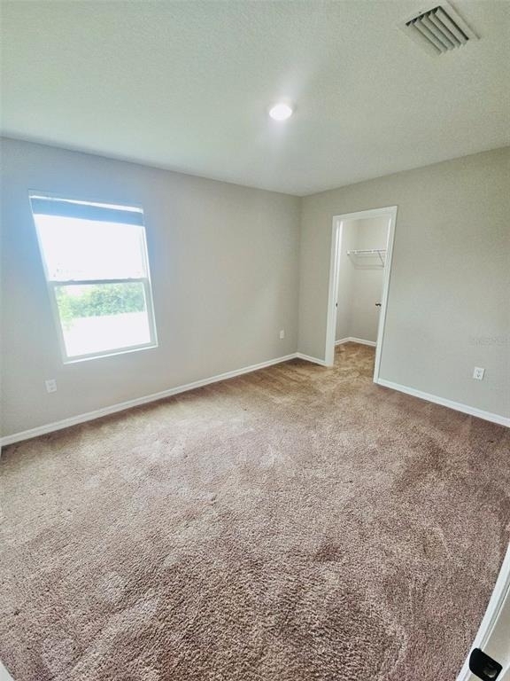34436 Moonflower Avenue - Photo 10