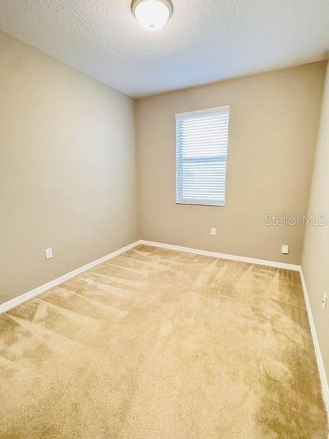 2832 White Isle Lane - Photo 30