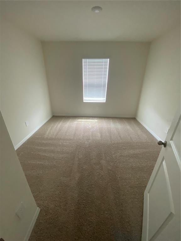 17220 Harvest Moon Way - Photo 9