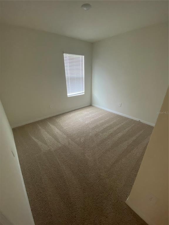 17220 Harvest Moon Way - Photo 11