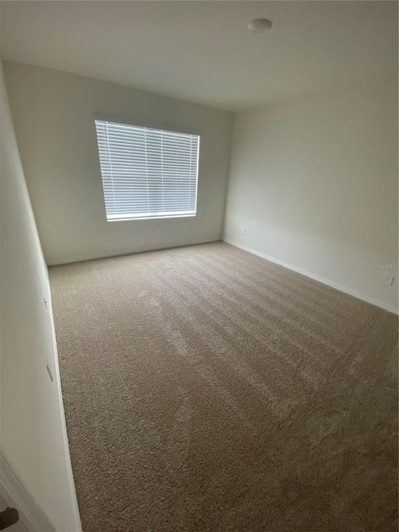 17220 Harvest Moon Way - Photo 12