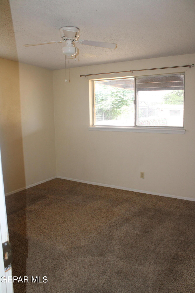 10452 Persephone Drive - Photo 11