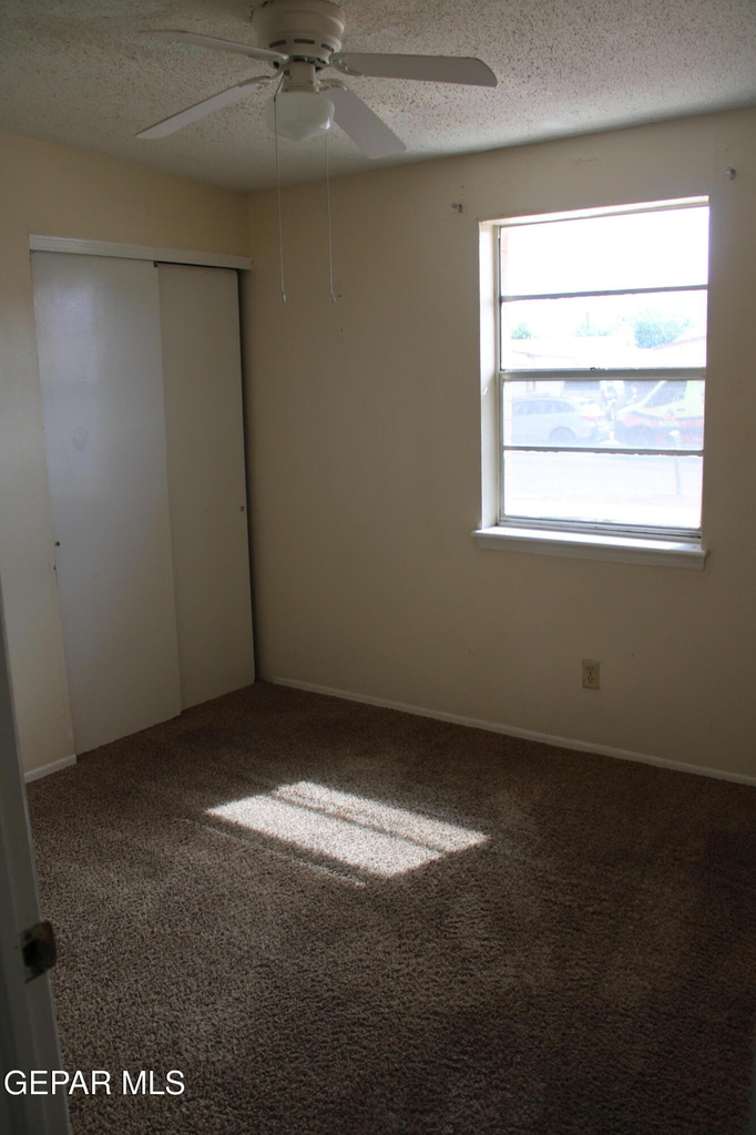10452 Persephone Drive - Photo 7