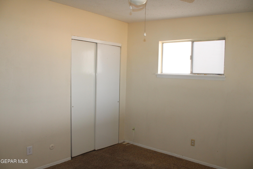 10452 Persephone Drive - Photo 12