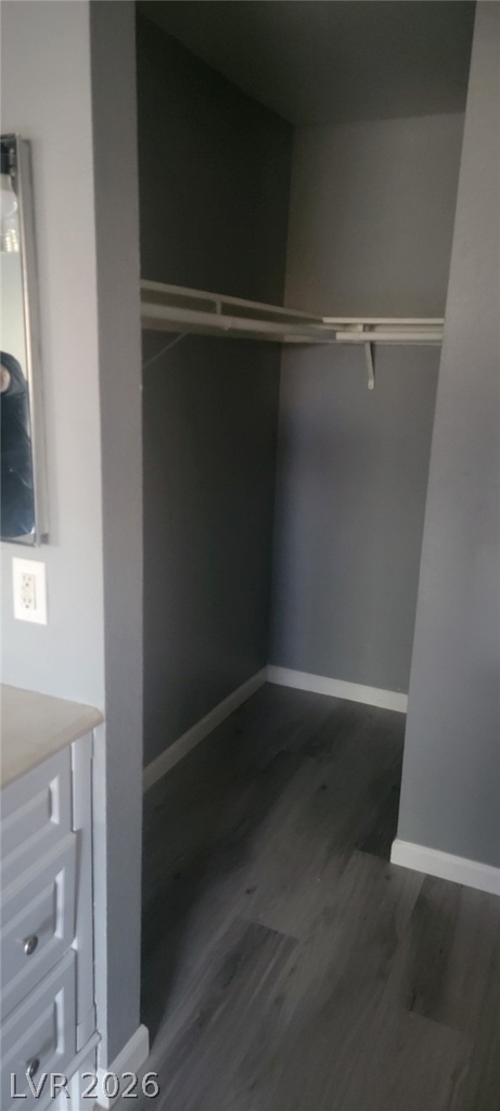 5156 Golden Lane - Photo 13