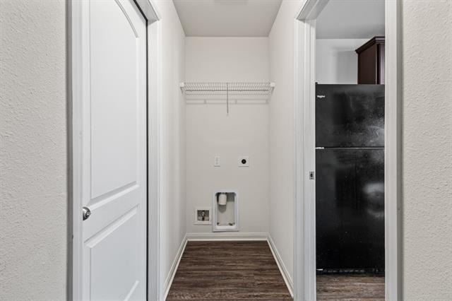 4308 Cat Tail Way - Photo 8