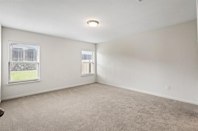 4308 Cat Tail Way - Photo 7