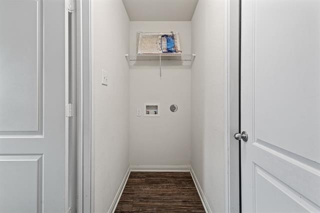4308 Cat Tail Way - Photo 9