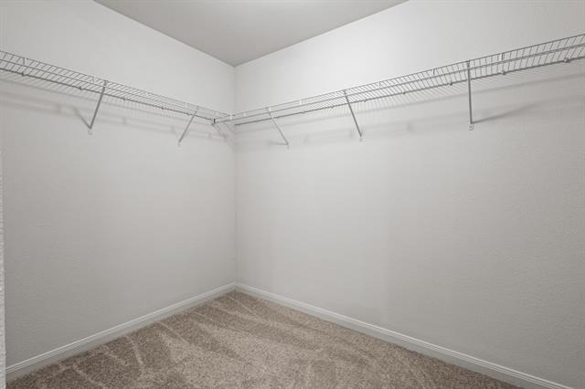 4308 Cat Tail Way - Photo 4