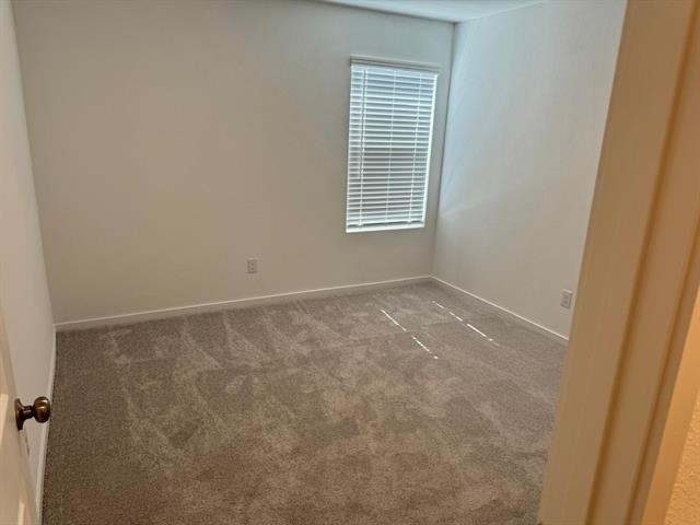 7909 Clements Street - Photo 4