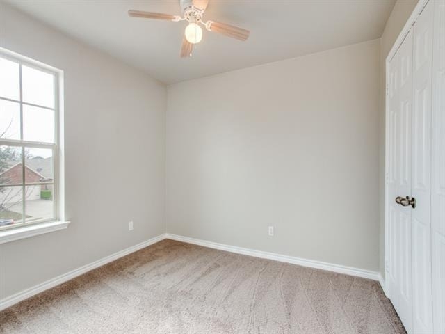1208 Boxwood Drive - Photo 4