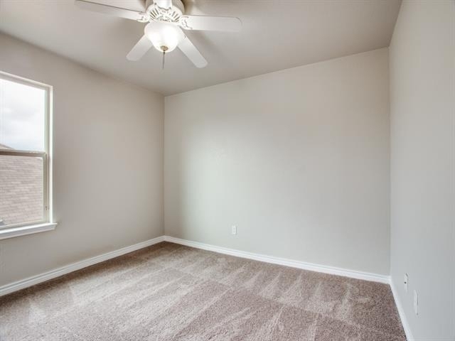 1208 Boxwood Drive - Photo 7