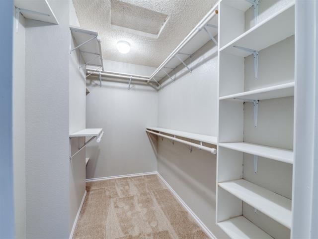 632 Condor Trail - Photo 14