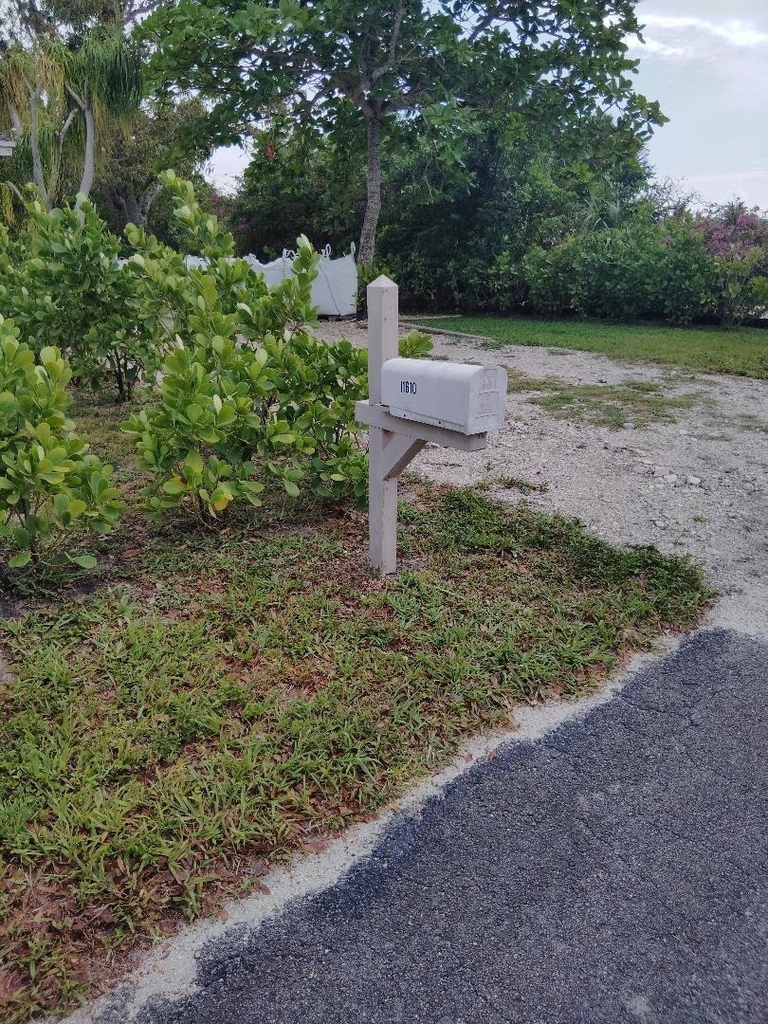 11610 Ellison Wilson Road - Photo 0