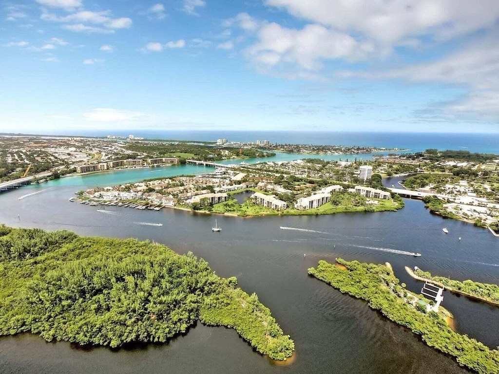 1648 Jupiter Cove Drive - Photo 41