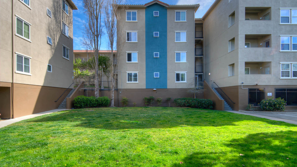 7800 El Camino Real - Photo 2