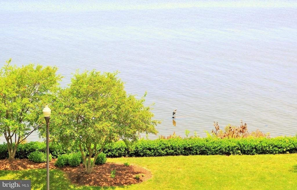 485 Harbor Side Street - Photo 45