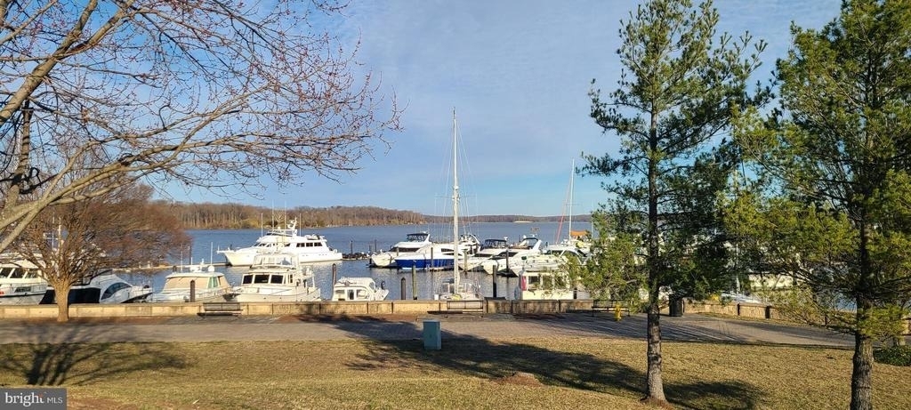 485 Harbor Side Street - Photo 47