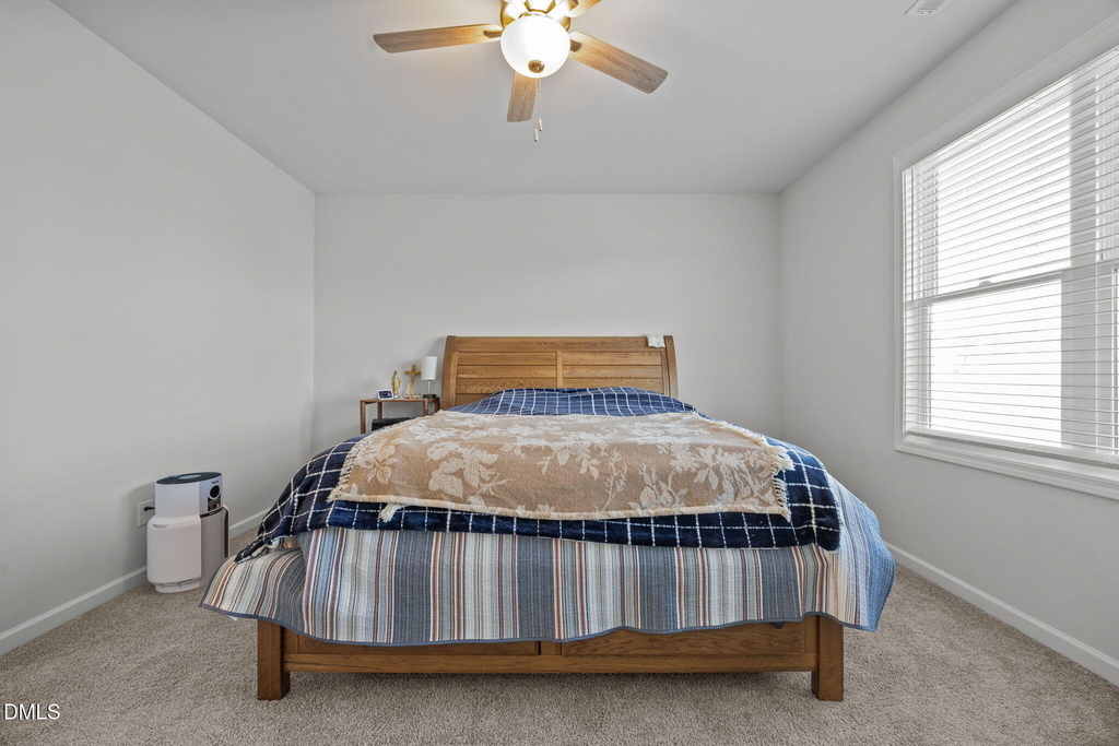 295 Springtooth Drive - Photo 14