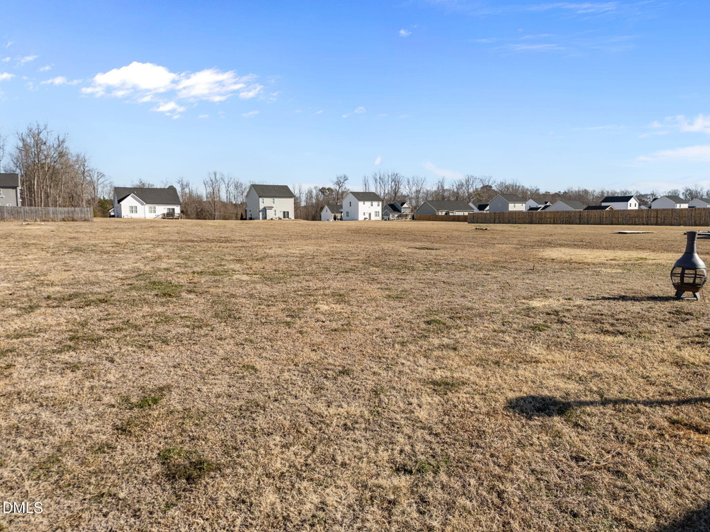 295 Springtooth Drive - Photo 29