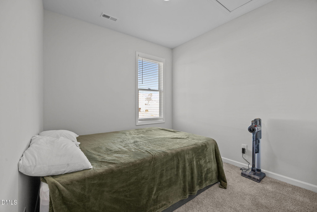 295 Springtooth Drive - Photo 20