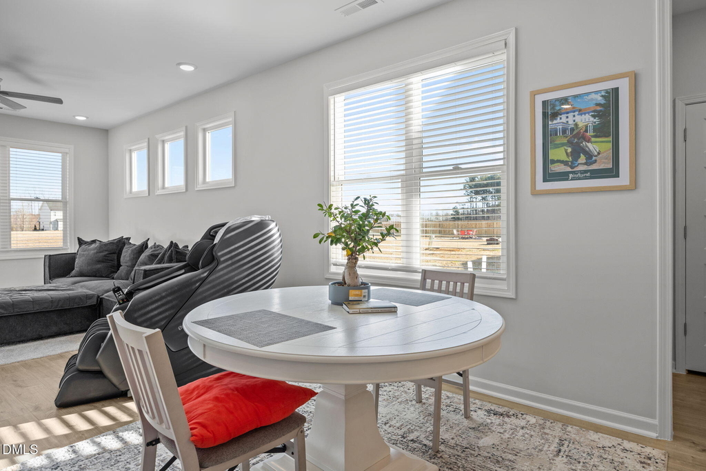 295 Springtooth Drive - Photo 9