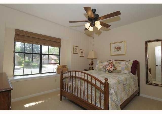 11810 Rain Forest Cv - Photo 6