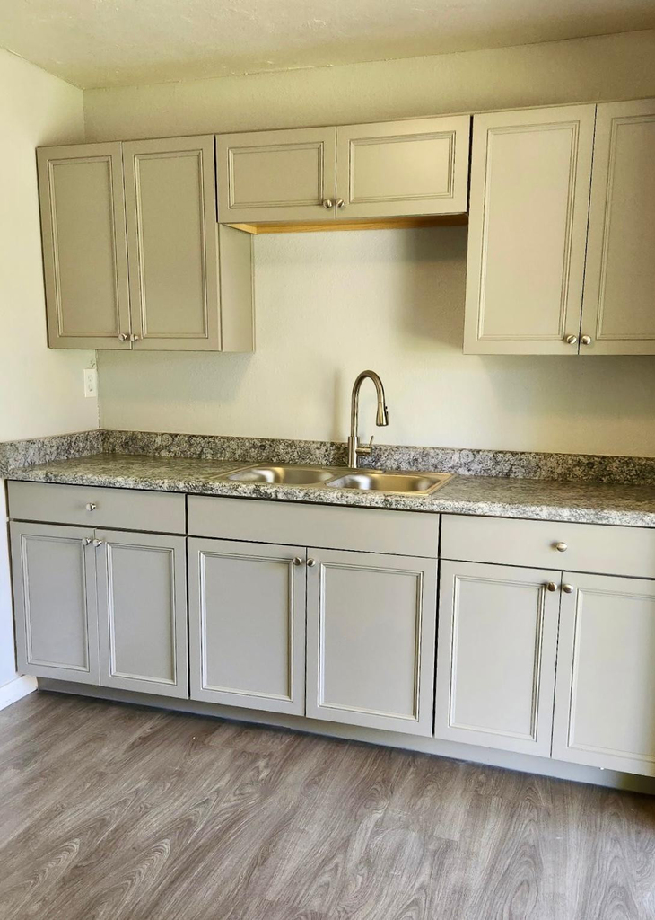 2645 W Morten Avenue - Photo 1