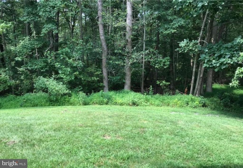 37 Bridgewater Drive - Photo 13