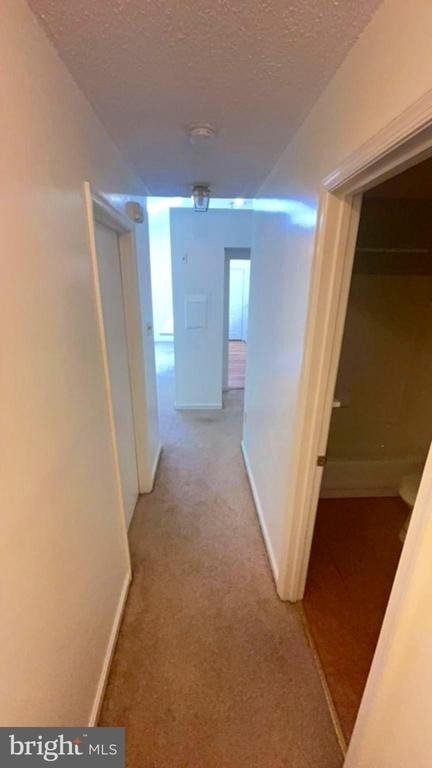 14201 Woolen Oak Court - Photo 11