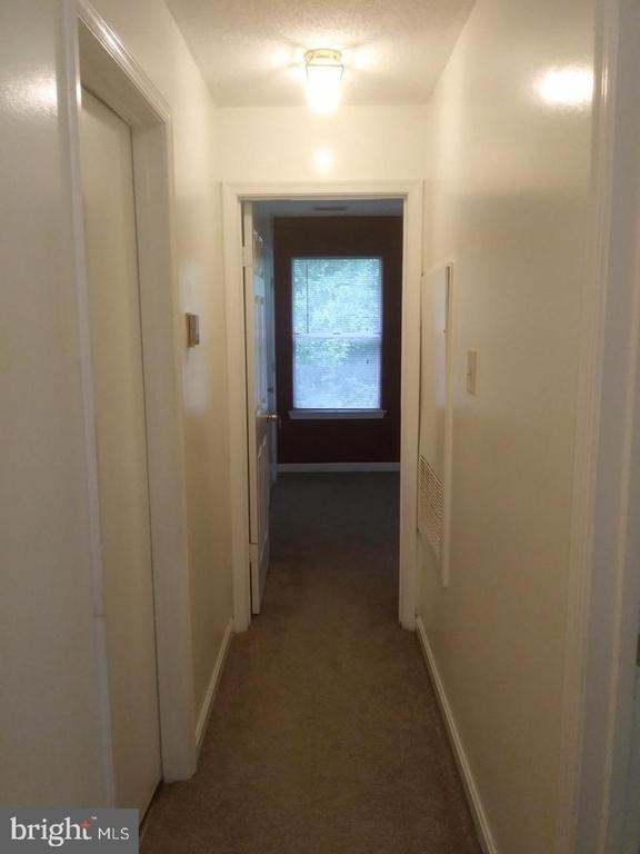 14201 Woolen Oak Court - Photo 8