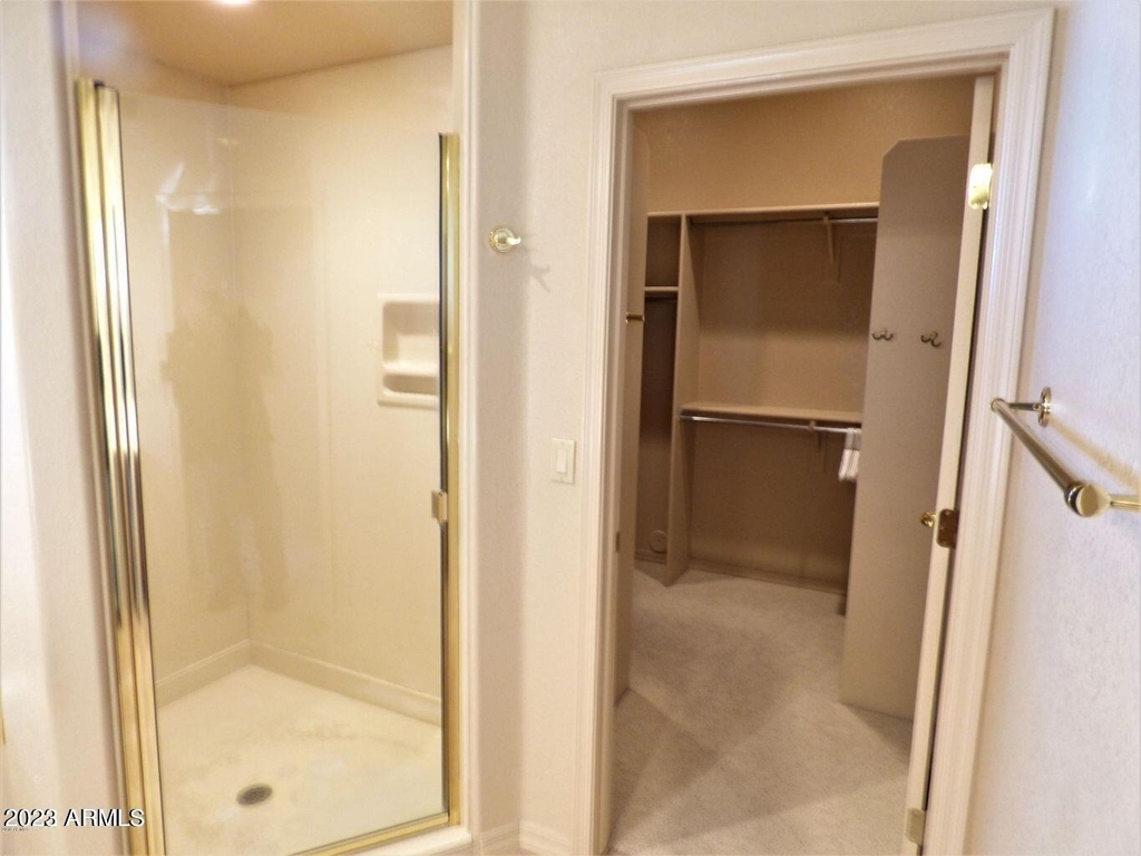 25603 N Sago Drive - Photo 9