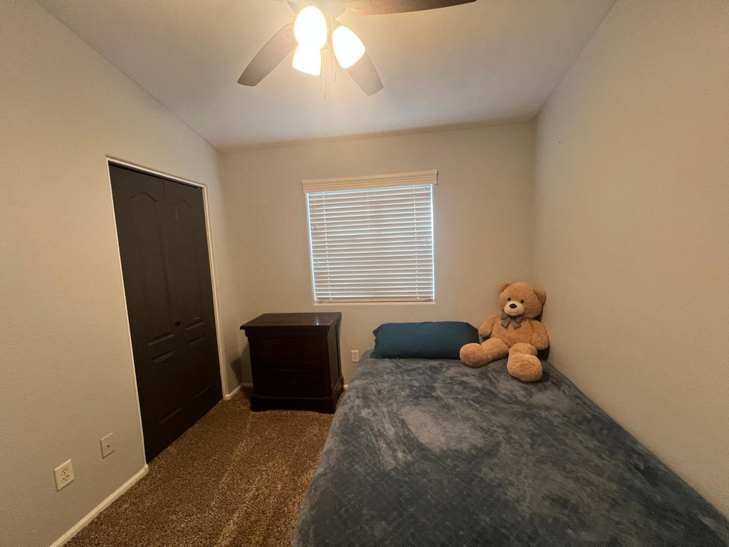 28496 N Dolomite Lane - Photo 10