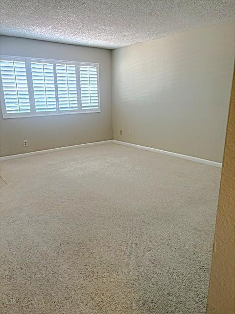 10110 N 97th Drive - Photo 2