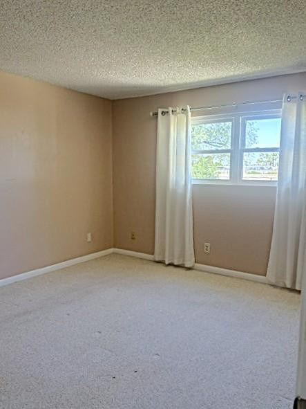10110 N 97th Drive - Photo 9