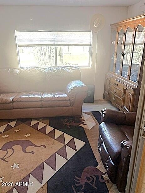 10104 N 96th Drive - Photo 18