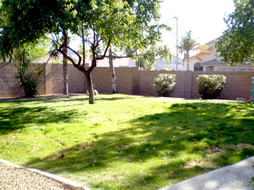 2429 E Patrick Lane - Photo 0