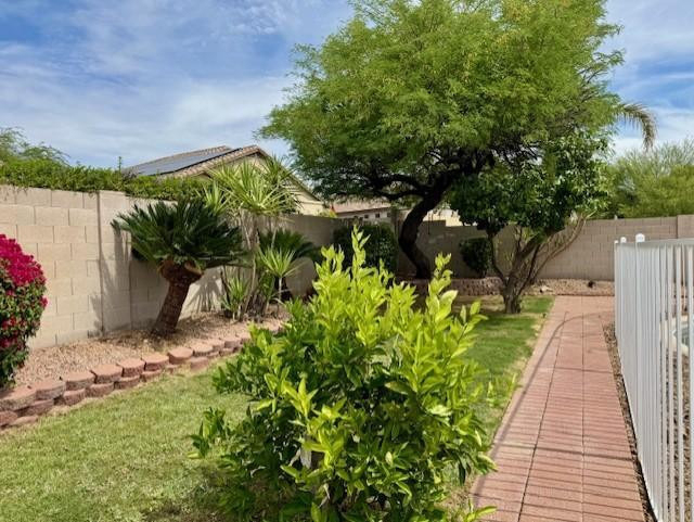 7798 E Buteo Drive - Photo 11