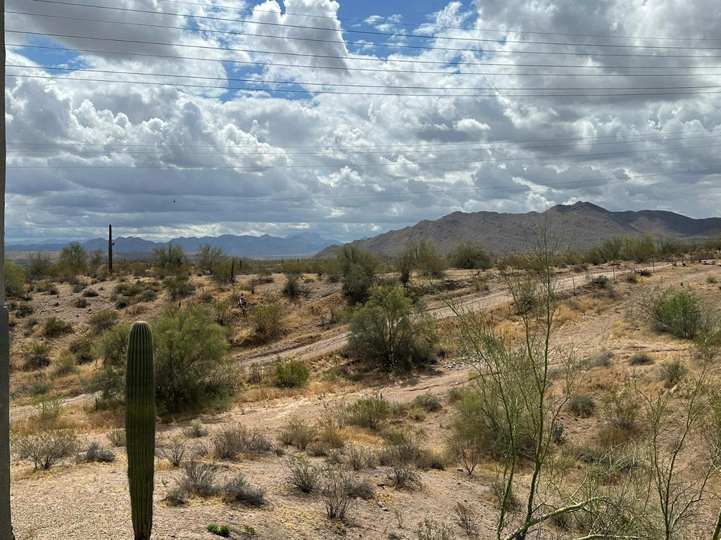 10401 N Saguaro Boulevard - Photo 12