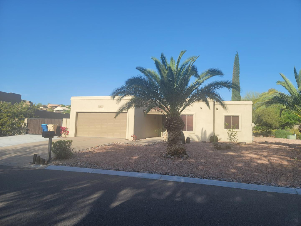 16444 N Dixie Mine Trail - Photo 0