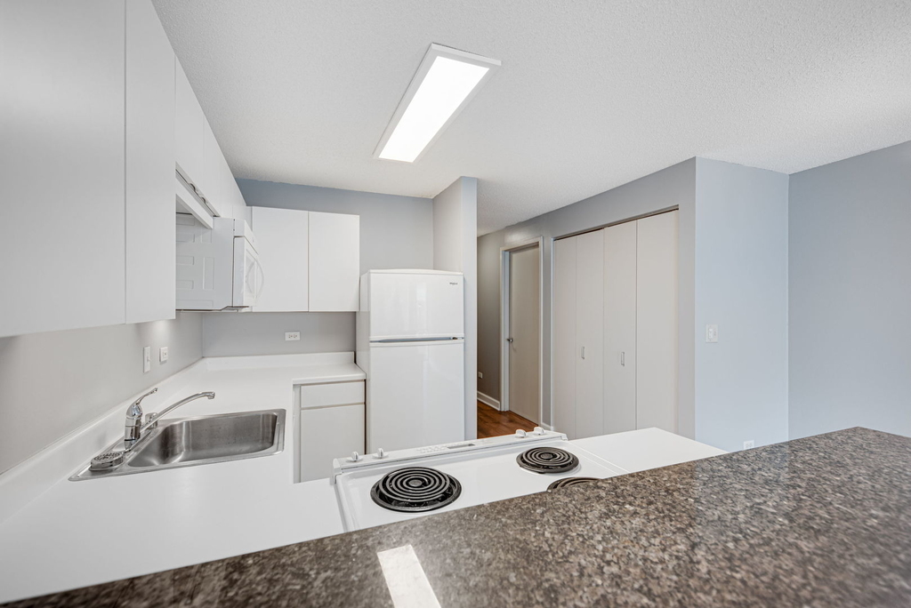 2 E Erie Street - Photo 9