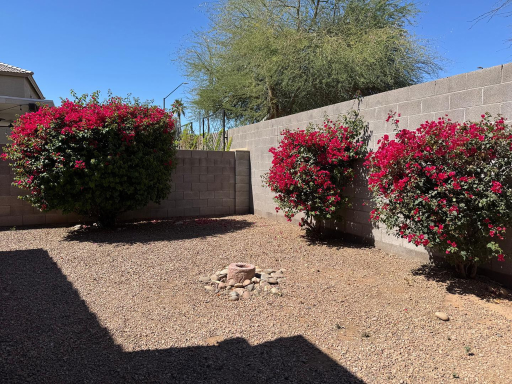 1814 S 114th Drive - Photo 10