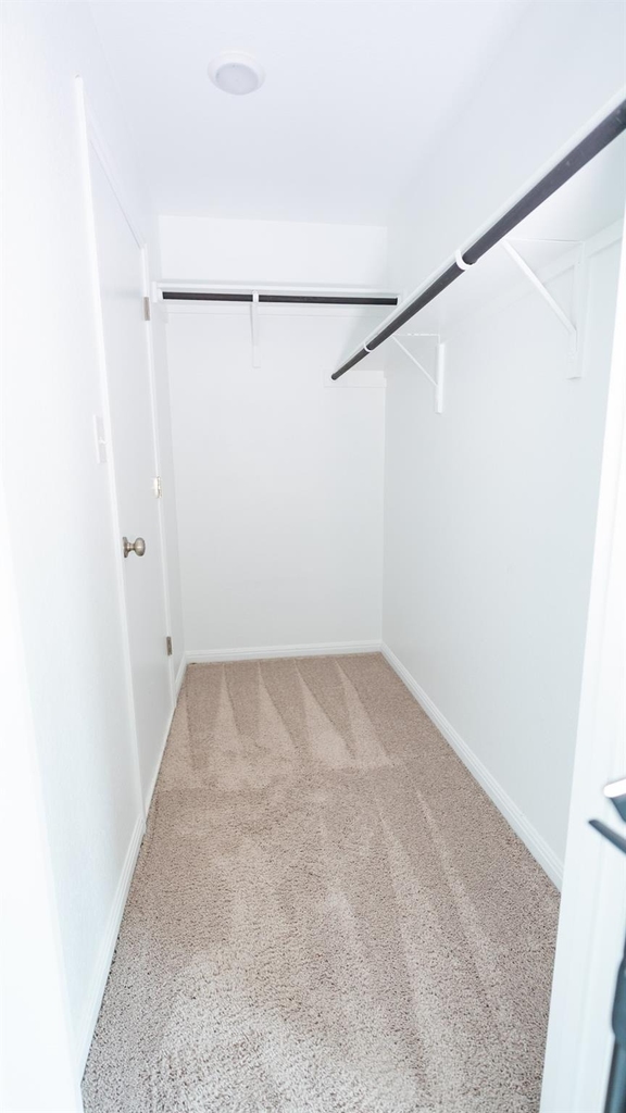 13108 Chapala Way - Photo 19