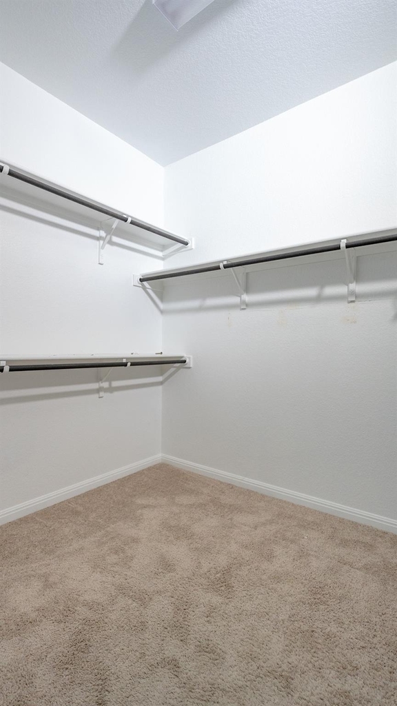 13108 Chapala Way - Photo 18