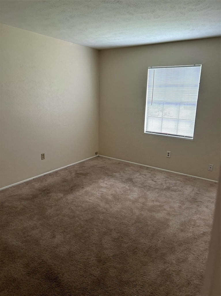 5018 Ridgecreek Drive - Photo 6