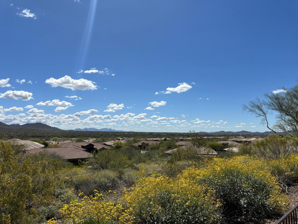 42107 N Mountain Cove Drive - Photo 45